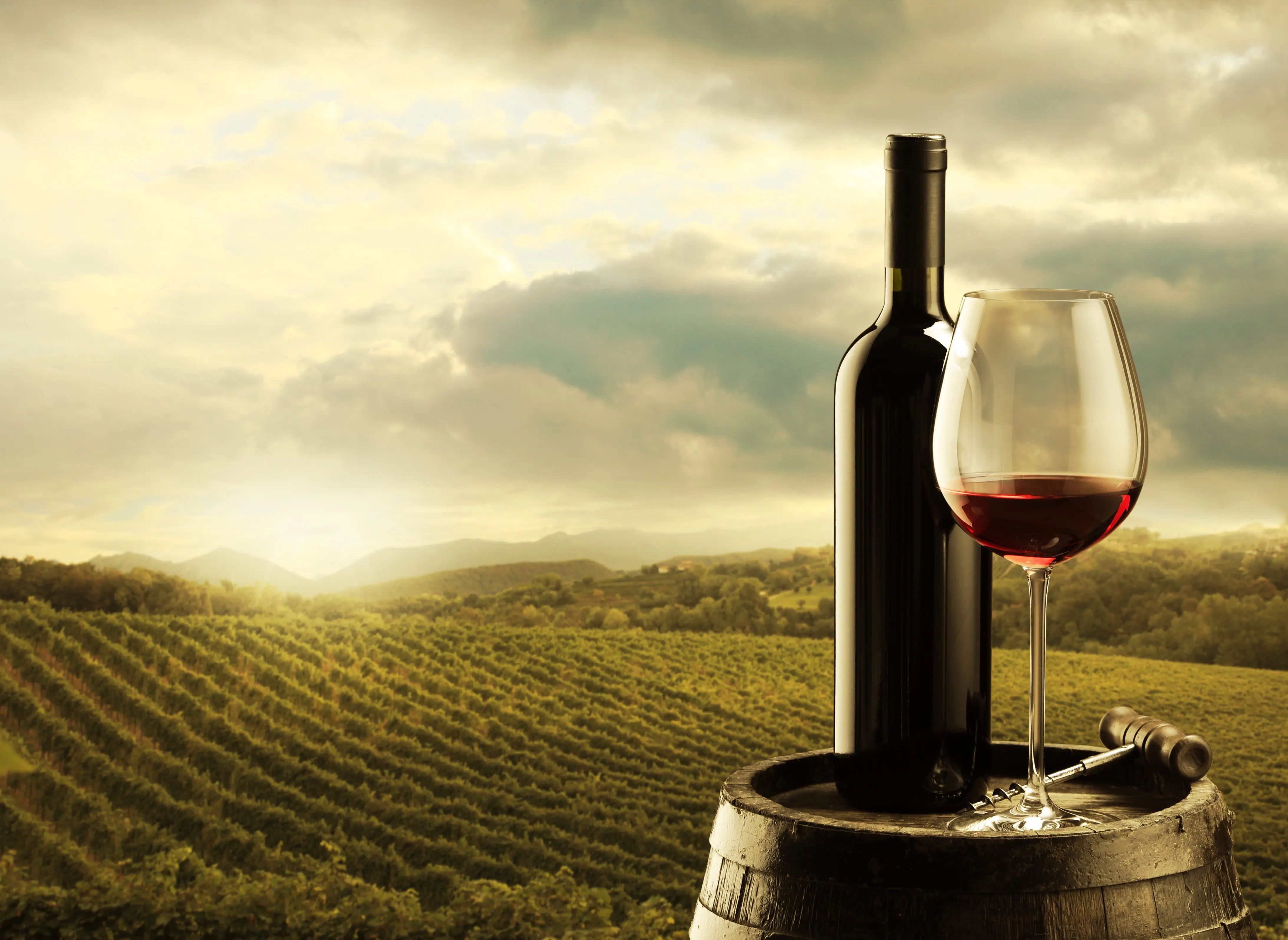 Wine tasting at Cave Hill Vineyard & Winery